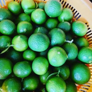 湯河原　湘南ゴールド