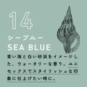 三河屋 ’23夏限定 シーブルーブレンド