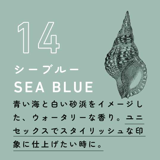 三河屋 ’23夏限定 シーブルーブレンド