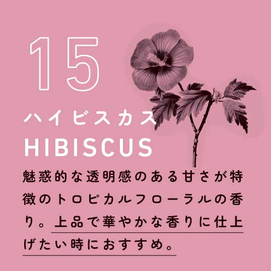 三河屋 ’23夏限定 ハイビスカスブレンド