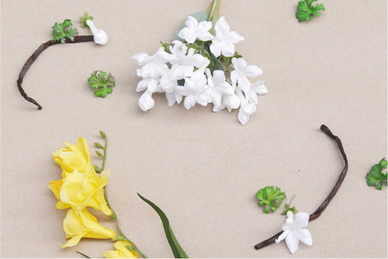 PERFUMERS ’23夏 / クチナシの香り
