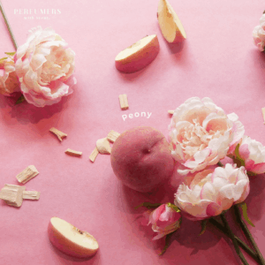 💐𝐏𝐞𝐨𝐧𝐲💐直営店舗先行販売