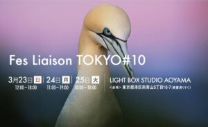 Fes Liaison #10　出展のお知らせ