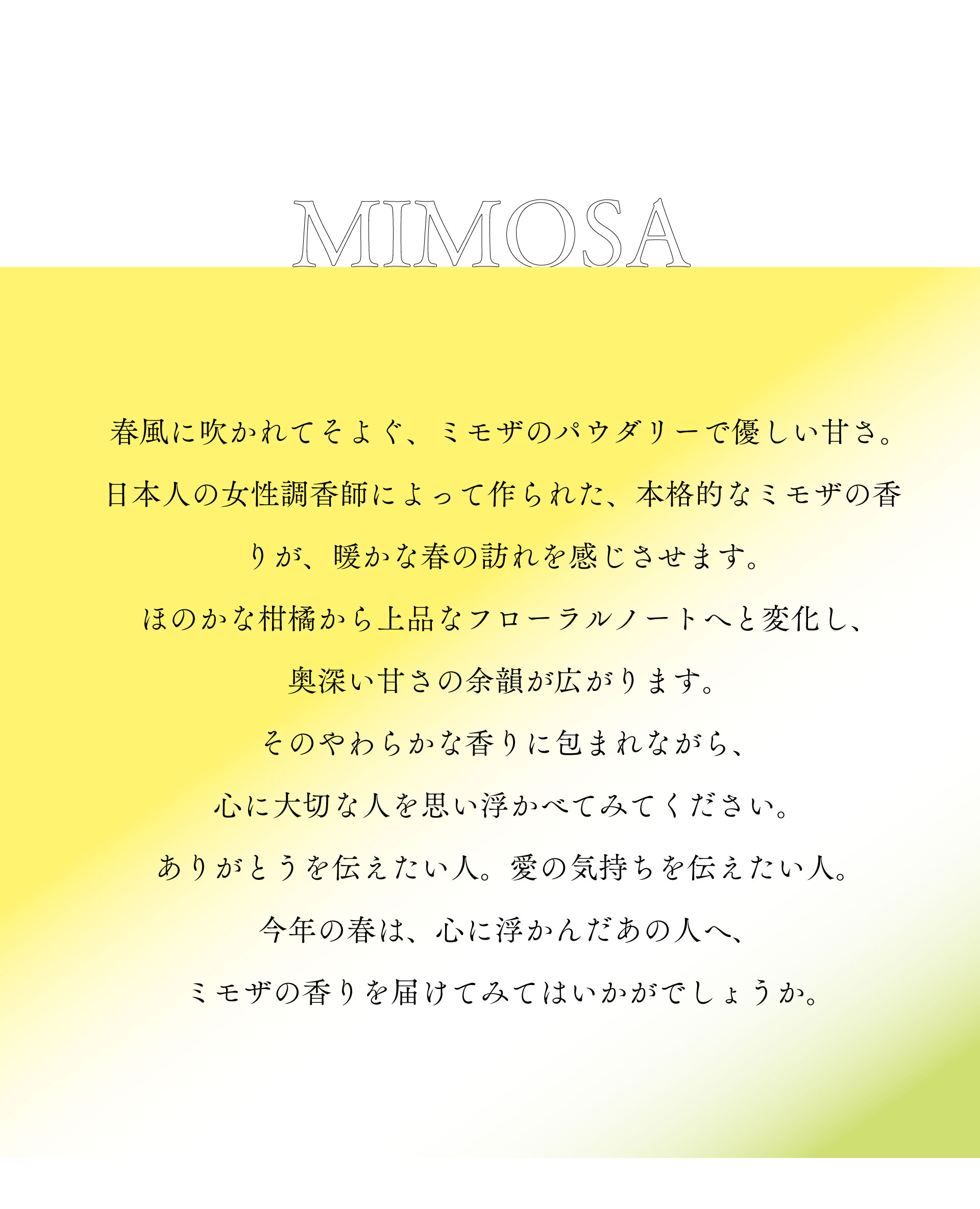 mimosa